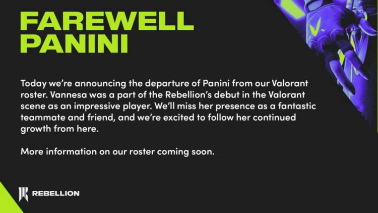 panini vasen Shopify Rebellion