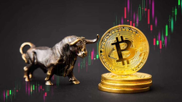 Perustaja XOR strategy: "Bullrun BTC alkaa tästä"