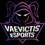 Vaevictis eSports