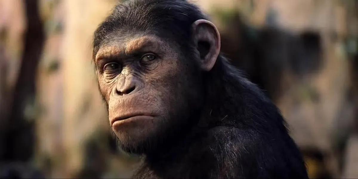 Fortnite Rumored to Swing into Action with Planet of the Apes Crossover Ahead of New Movie Release!