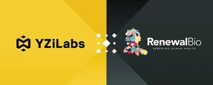 YZi Labs sijoittaa Renewal Bio -yritykseen: Uusiutuvan lääketieteen vallankumouksellinen askel elinpulan voittamiseksi
