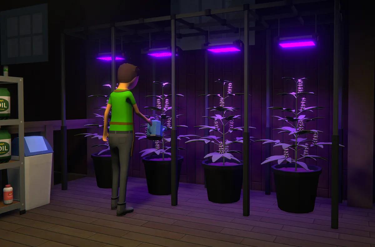 Steamin pelot saivat Schedule 1:n luojan harkitsemaan täydellistä viljelyn suuntaamista