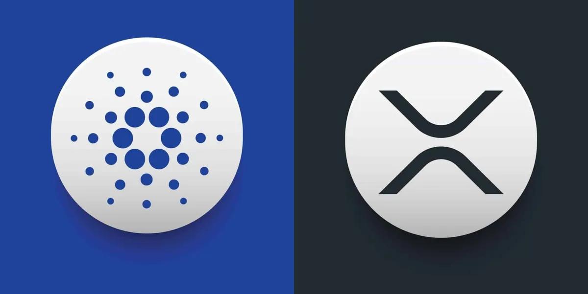 Mike Novogratz antaa XRP:lle ja Cardanolle jyrkän varoituksen