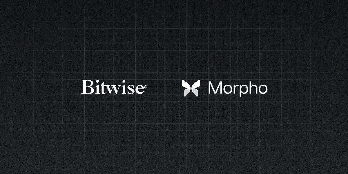 Bitwise lanseeraa On-Chain Holvin yhteistyössä Morphon kanssa