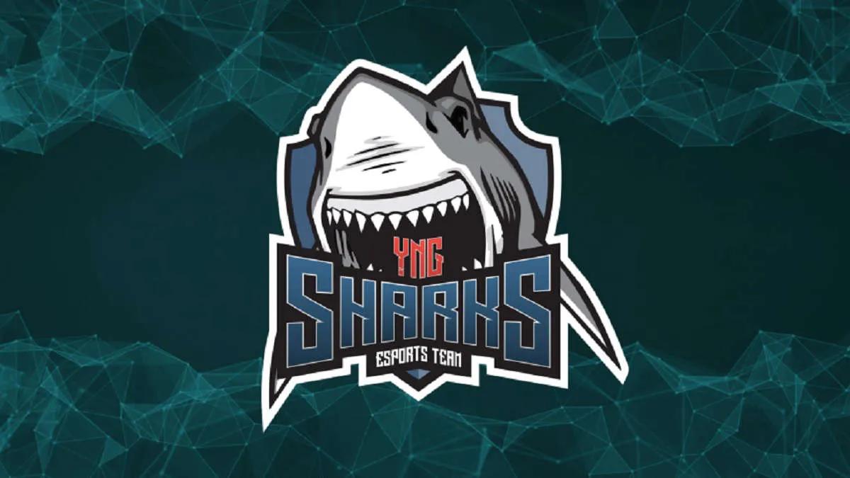 Huhut: rdnzao tulee uusi pelaaja Sharks Esports