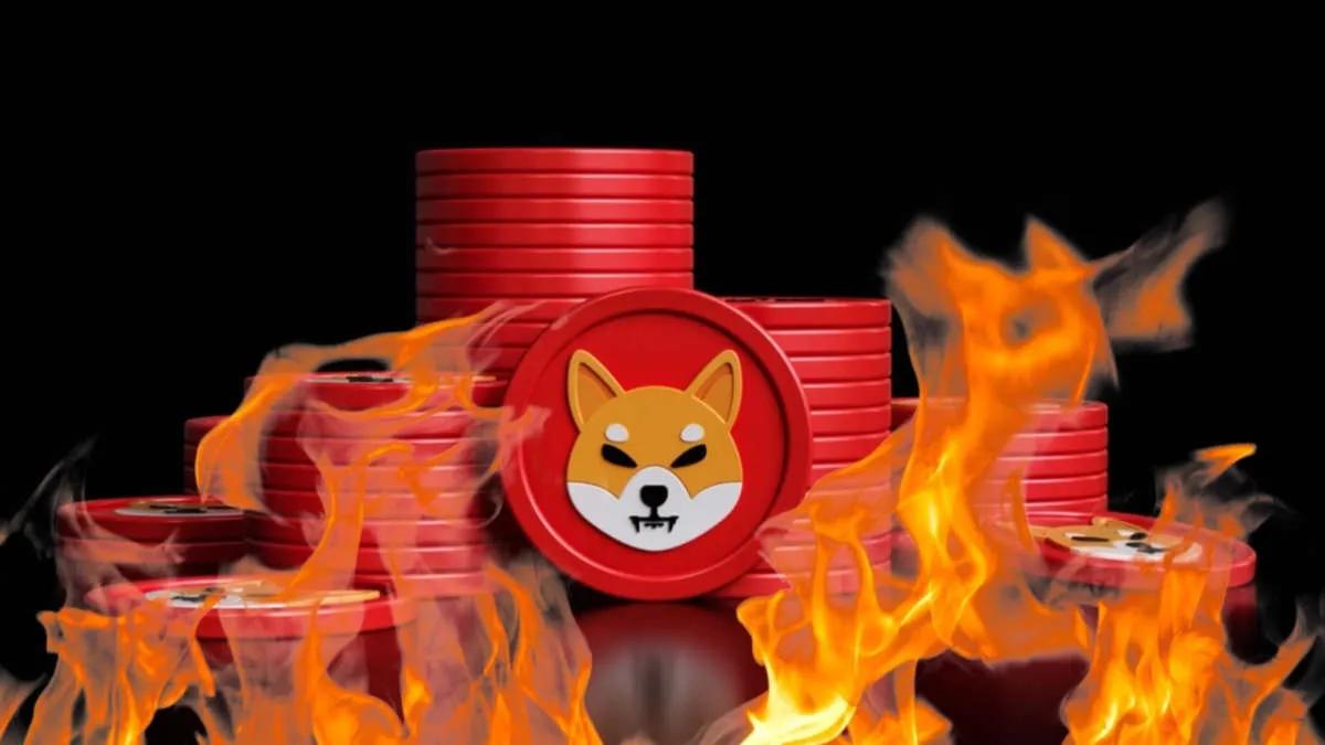 Yli 48 000 000 Shiba Inu on palanut viimeisen 24 tunnin aikana