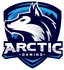 Arctic Gaming