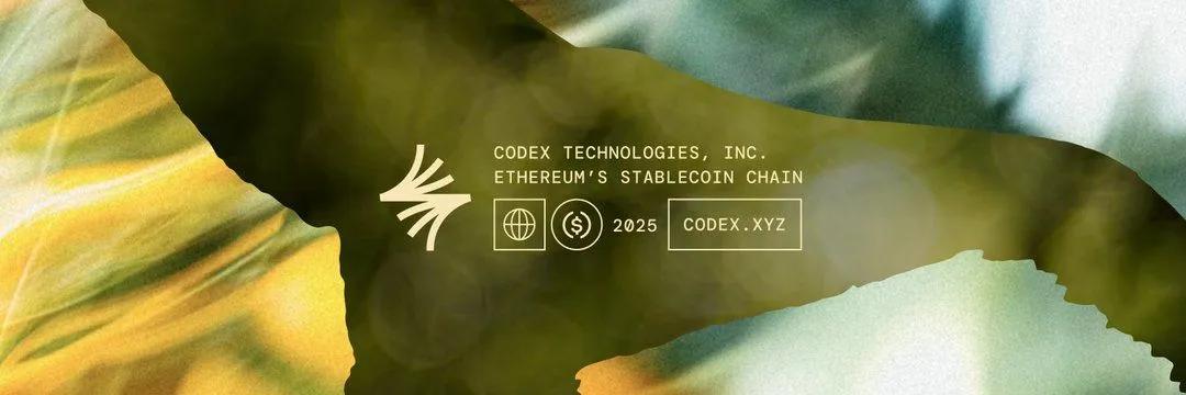 Codex Chain: L2:n uusi pelaaja