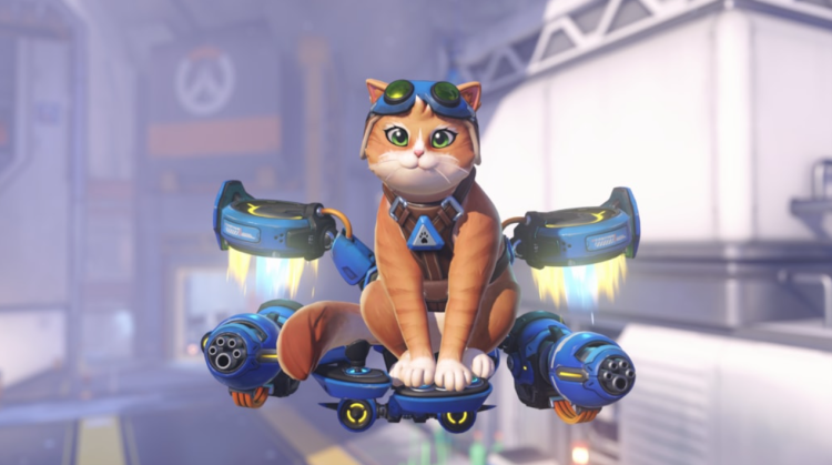 Overwatch, Jetpack Cat