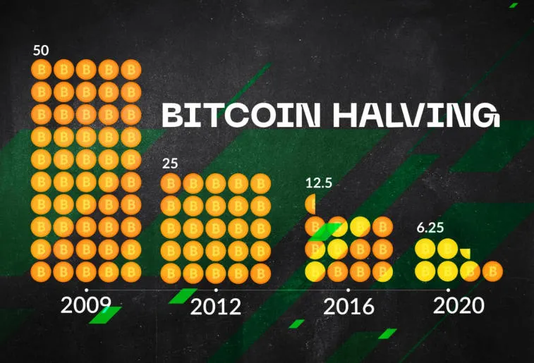 Stock To Flow -mallin luoja uskoo, että BTC saavuttaa 100 000 dollaria. Kuva 1